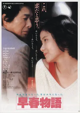 迷雾回响 高清电影在线观看